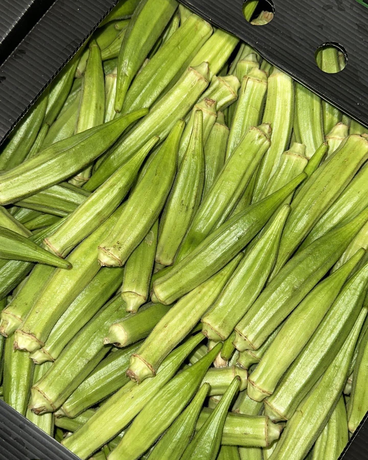 Okra
