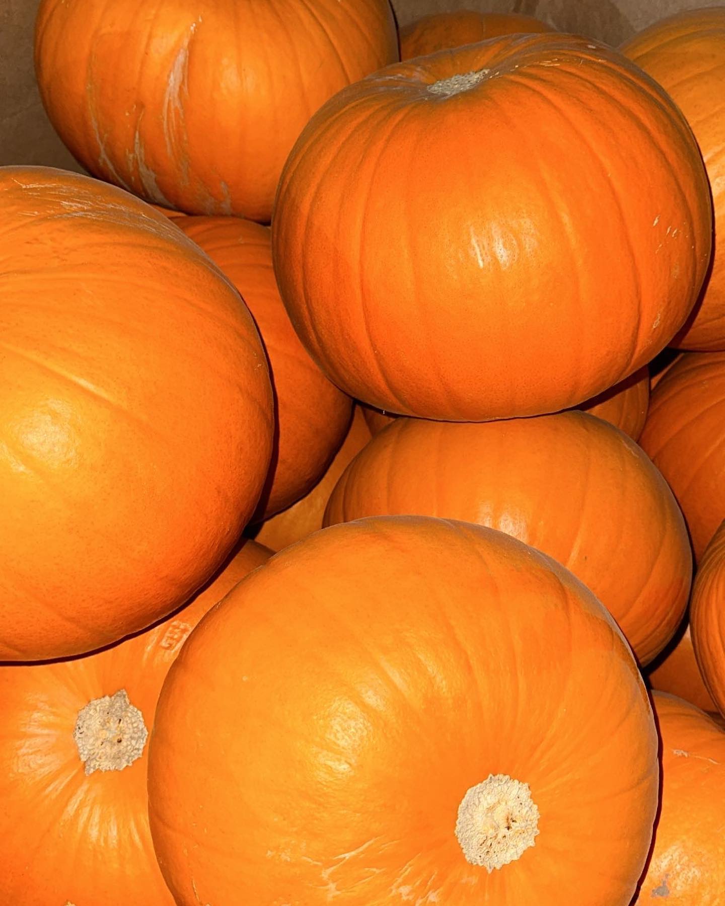 Pumpkins